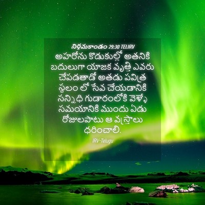 Picture 04 - నిర్గమకాండం 29:30 TELIRV - అహరోను కొడుకుల్లో - Bible Verse Picture