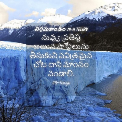 Picture 04 - నిర్గమకాండం 29:31 TELIRV - నువ్వు ప్రతిష్ట - Bible Verse Picture