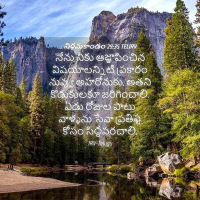 Picture 04 - నిర్గమకాండం 29:35 TELIRV - నేను నీకు - Bible Verse Picture