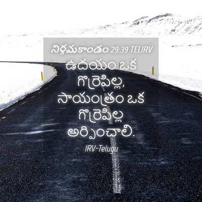 Picture 04 - నిర్గమకాండం 29:39 TELIRV - ఉదయం ఒక - Bible Verse Picture