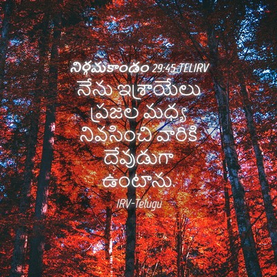 Picture 04 - నిర్గమకాండం 29:45 TELIRV - నేను ఇశ్రాయేలు - Bible Verse Picture