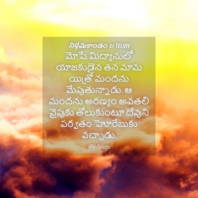 Picture 04 - నిర్గమకాండం 3:1 TELIRV - మోషే మిద్యానులో - Bible Verse Picture