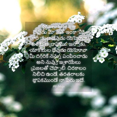 Picture 04 - నిర్గమకాండం 3:15 TELIRV - దేవుడు మోషేతో - Bible Verse Picture