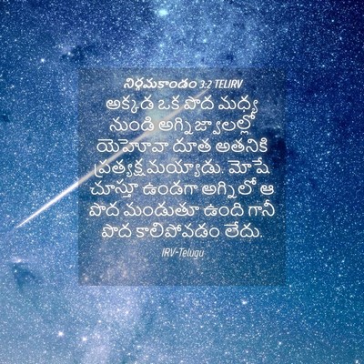 Picture 04 - నిర్గమకాండం 3:2 TELIRV - అక్కడ ఒక పొద మధ్య - Bible Verse Picture