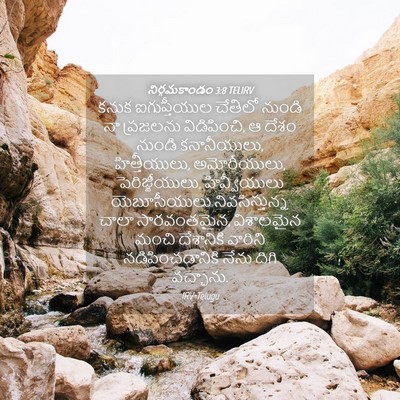 Picture 04 - నిర్గమకాండం 3:8 TELIRV - కనుక ఐగుప్తీయుల - Bible Verse Picture