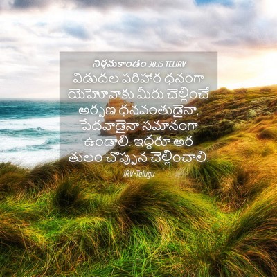 Picture 04 - నిర్గమకాండం 30:15 TELIRV - విడుదల పరిహార - Bible Verse Picture