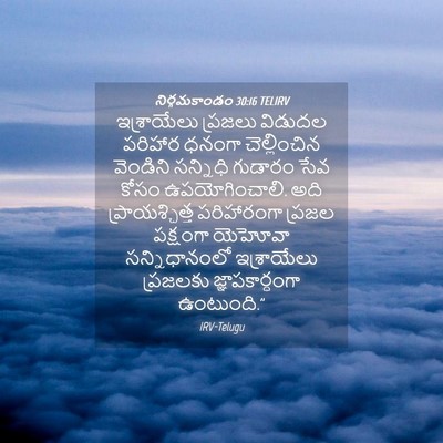 Picture 04 - నిర్గమకాండం 30:16 TELIRV - ఇశ్రాయేలు ప్రజలు - Bible Verse Picture