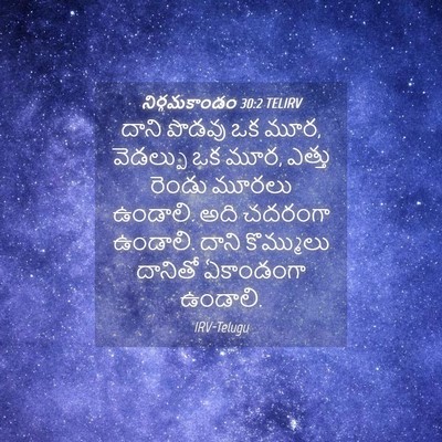 Picture 04 - నిర్గమకాండం 30:2 TELIRV - దాని పొడవు ఒక మూర, - Bible Verse Picture