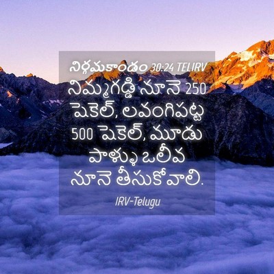 Picture 04 - నిర్గమకాండం 30:24 TELIRV - నిమ్మగడ్డి నూనె 250 - Bible Verse Picture