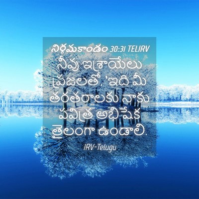 Picture 04 - నిర్గమకాండం 30:31 TELIRV - నీవు ఇశ్రాయేలు - Bible Verse Picture