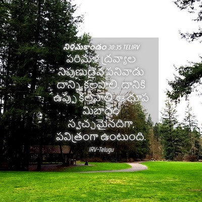 Picture 04 - నిర్గమకాండం 30:35 TELIRV - పరిమళ ద్రవ్యాల - Bible Verse Picture