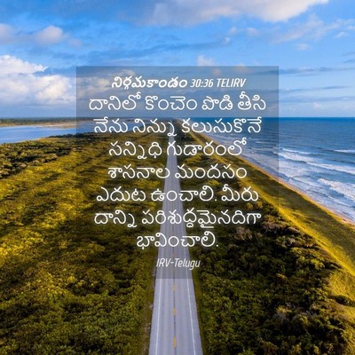 Picture 04 - నిర్గమకాండం 30:36 TELIRV - దానిలో కొంచెం - Bible Verse Picture