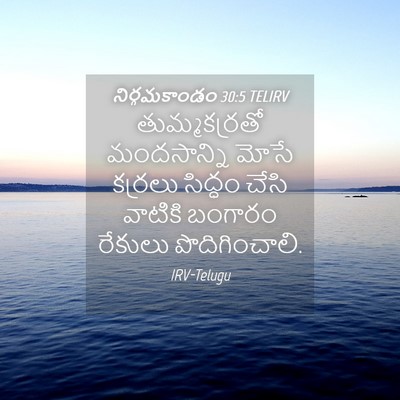 Picture 04 - నిర్గమకాండం 30:5 TELIRV - తుమ్మకర్రతో - Bible Verse Picture