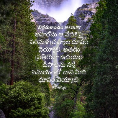 Picture 04 - నిర్గమకాండం 30:7 TELIRV - అహరోను ఆ వేదికపై - Bible Verse Picture