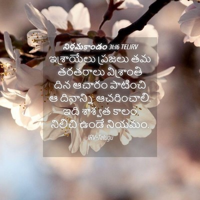 Picture 04 - నిర్గమకాండం 31:16 TELIRV - ఇశ్రాయేలు ప్రజలు - Bible Verse Picture
