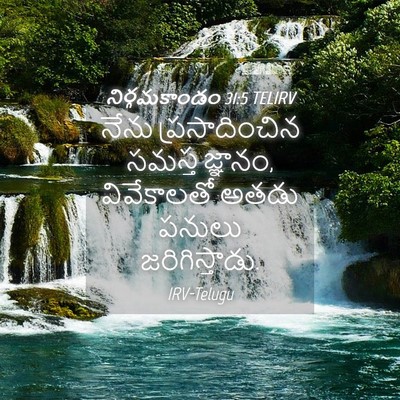 Picture 04 - నిర్గమకాండం 31:5 TELIRV - నేను ప్రసాదించిన - Bible Verse Picture