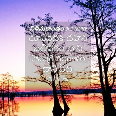 Picture 04 - నిర్గమకాండం 31:9 TELIRV - ధూపవేదిక, దహన - Bible Verse Picture