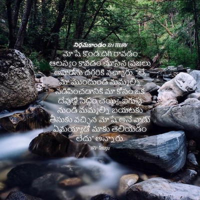 Picture 04 - నిర్గమకాండం 32:1 TELIRV - మోషే కొండ దిగి - Bible Verse Picture