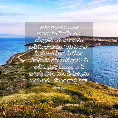 Picture 04 - నిర్గమకాండం 32:11 TELIRV - అందుకు మోషే తన - Bible Verse Picture