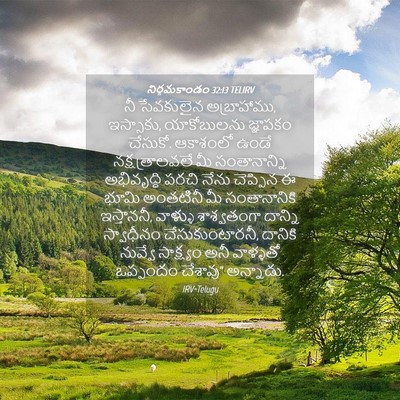 Picture 04 - నిర్గమకాండం 32:13 TELIRV - నీ సేవకులైన - Bible Verse Picture