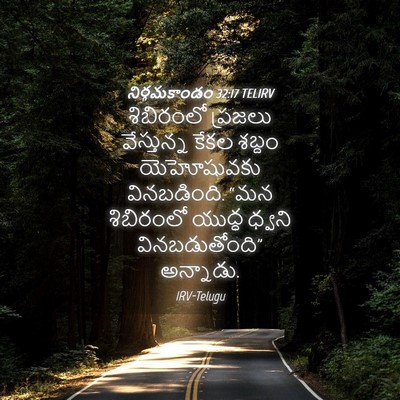 Picture 04 - నిర్గమకాండం 32:17 TELIRV - శిబిరంలో ప్రజలు - Bible Verse Picture