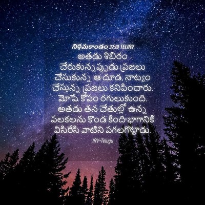 Picture 04 - నిర్గమకాండం 32:19 TELIRV - అతడు శిబిరం - Bible Verse Picture