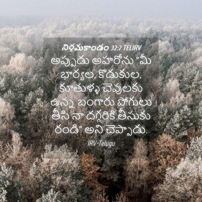 Picture 04 - నిర్గమకాండం 32:2 TELIRV - అప్పుడు అహరోను - Bible Verse Picture