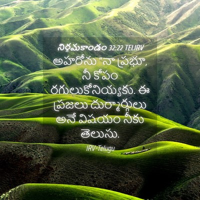 Picture 04 - నిర్గమకాండం 32:22 TELIRV - అహరోను “నా ప్రభూ, - Bible Verse Picture