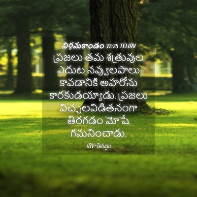 Picture 04 - నిర్గమకాండం 32:25 TELIRV - ప్రజలు తమ - Bible Verse Picture