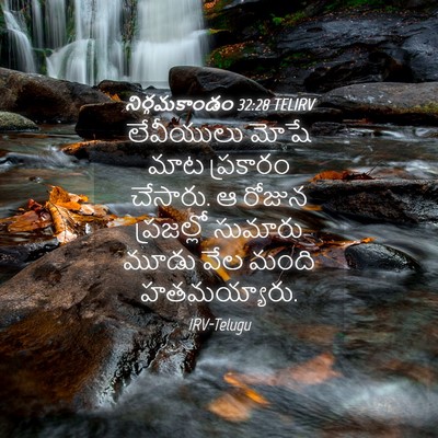 Picture 04 - నిర్గమకాండం 32:28 TELIRV - లేవీయులు మోషే మాట - Bible Verse Picture