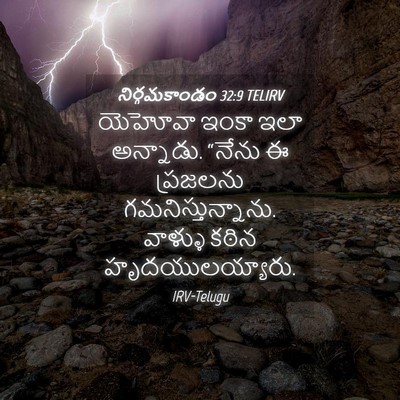 Picture 04 - నిర్గమకాండం 32:9 TELIRV - యెహోవా ఇంకా ఇలా - Bible Verse Picture