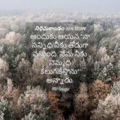 Picture 04 - నిర్గమకాండం 33:14 TELIRV - అందుకు ఆయన “నా - Bible Verse Picture