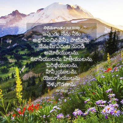 Picture 04 - నిర్గమకాండం 34:11 TELIRV - ఇప్పుడు నేను నీకు - Bible Verse Picture
