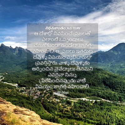 Picture 04 - నిర్గమకాండం 34:15 TELIRV - ఆ దేశాల్లో - Bible Verse Picture