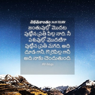 Picture 04 - నిర్గమకాండం 34:19 TELIRV - జంతువుల్లో మొదట - Bible Verse Picture
