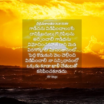 Picture 04 - నిర్గమకాండం 34:20 TELIRV - గాడిదను - Bible Verse Picture