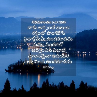 Picture 04 - నిర్గమకాండం 34:25 TELIRV - నాకు అర్పించే - Bible Verse Picture