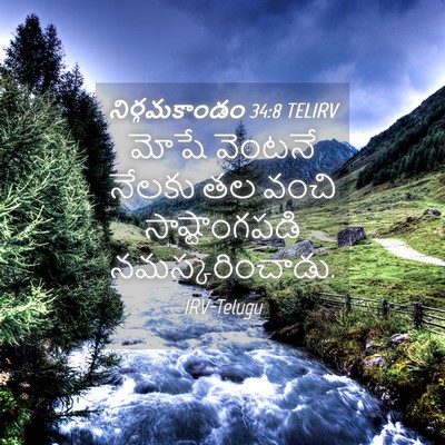 Picture 04 - నిర్గమకాండం 34:8 TELIRV - మోషే వెంటనే నేలకు - Bible Verse Picture