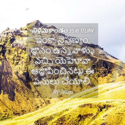 Picture 04 - నిర్గమకాండం 35:10 TELIRV - ఇంకా, నైపుణ్యం, - Bible Verse Picture