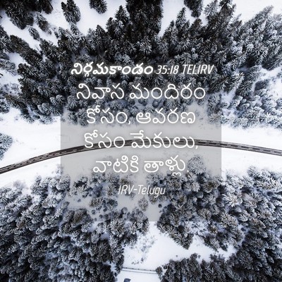 Picture 04 - నిర్గమకాండం 35:18 TELIRV - నివాస మందిరం కోసం, - Bible Verse Picture