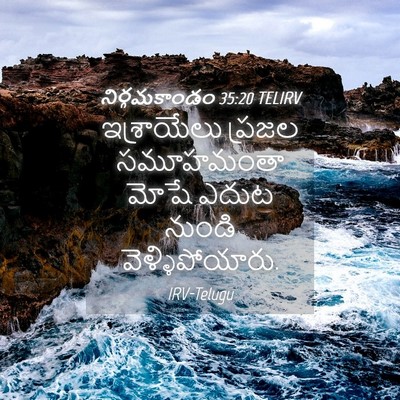 Picture 04 - నిర్గమకాండం 35:20 TELIRV - ఇశ్రాయేలు ప్రజల - Bible Verse Picture