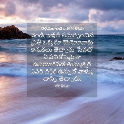 Picture 04 - నిర్గమకాండం 35:24 TELIRV - వెండి, ఇత్తడి - Bible Verse Picture