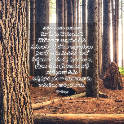 Picture 04 - నిర్గమకాండం 35:29 TELIRV - మోషేను చెయ్యమని - Bible Verse Picture