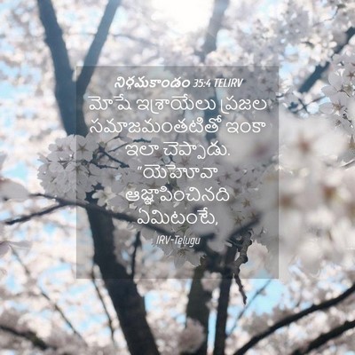 Picture 04 - నిర్గమకాండం 35:4 TELIRV - మోషే ఇశ్రాయేలు - Bible Verse Picture