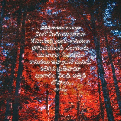 Picture 04 - నిర్గమకాండం 35:5 TELIRV - మీలో మీరు యెహోవా - Bible Verse Picture