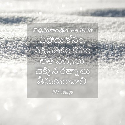Picture 04 - నిర్గమకాండం 35:9 TELIRV - ఏఫోదు కోసం, - Bible Verse Picture