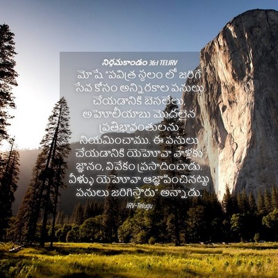 Picture 04 - నిర్గమకాండం 36:1 TELIRV - మోషే “పవిత్ర - Bible Verse Picture