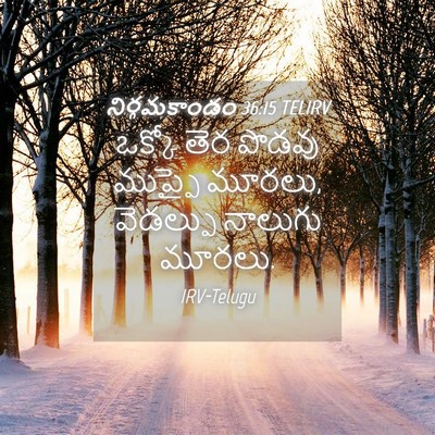 Picture 04 - నిర్గమకాండం 36:15 TELIRV - ఒక్కో తెర పొడవు - Bible Verse Picture