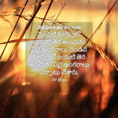 Picture 04 - నిర్గమకాండం 36:17 TELIRV - మొదటి కూర్పులో - Bible Verse Picture