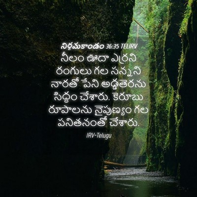 Picture 04 - నిర్గమకాండం 36:35 TELIRV - నీలం ఊదా ఎర్రని - Bible Verse Picture